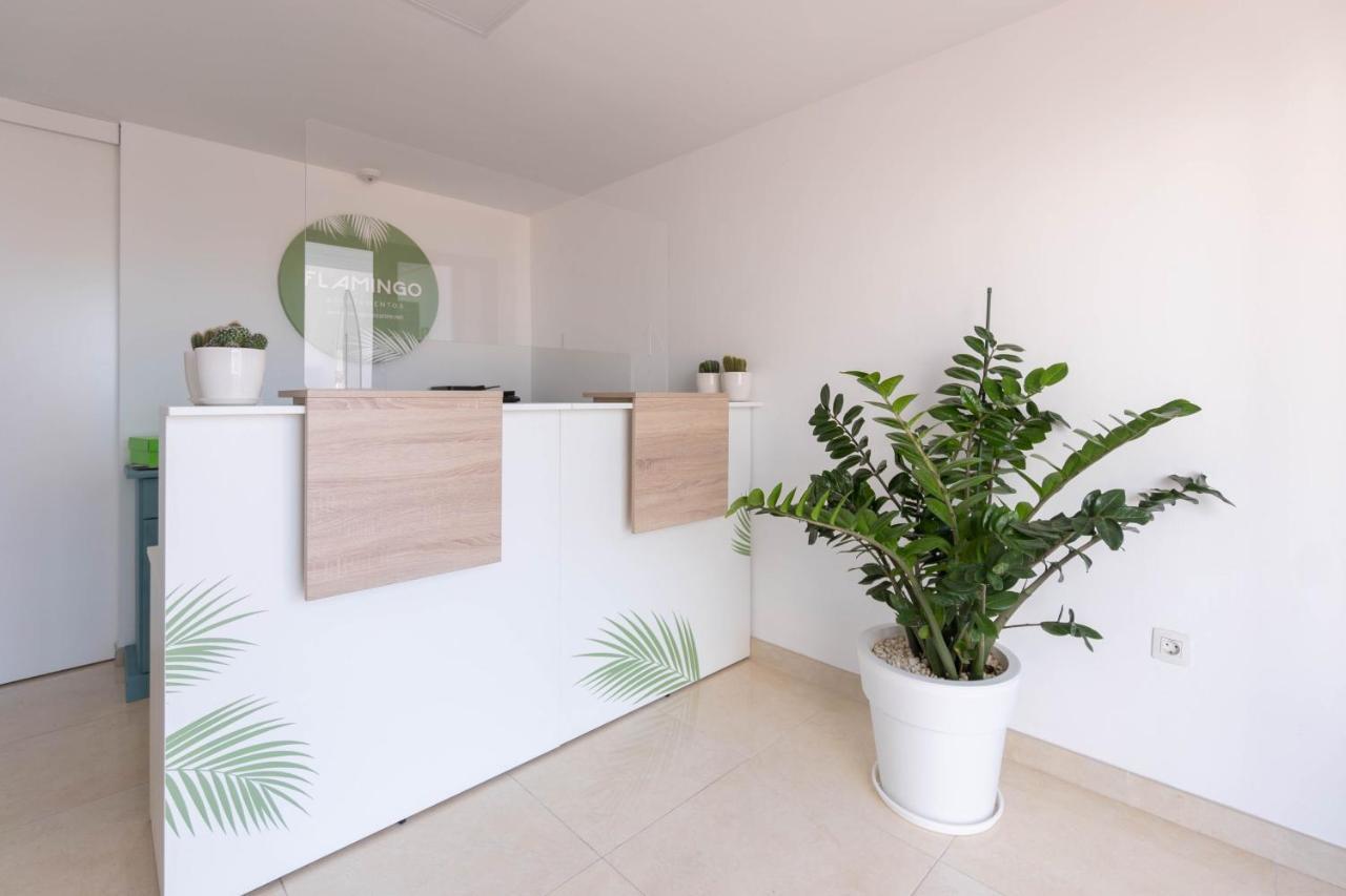 Apartamentos Flamingo Puerto del Carmen  Extérieur photo